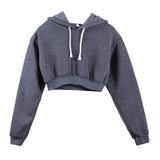 Women Fashion Hoodie Sweatshirt Jumper Sweatershirt from Eternal Gleams