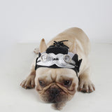 Pawsome Pilot Hat: Black & Silver Pet Party Dress Essential from Eternal Gleams