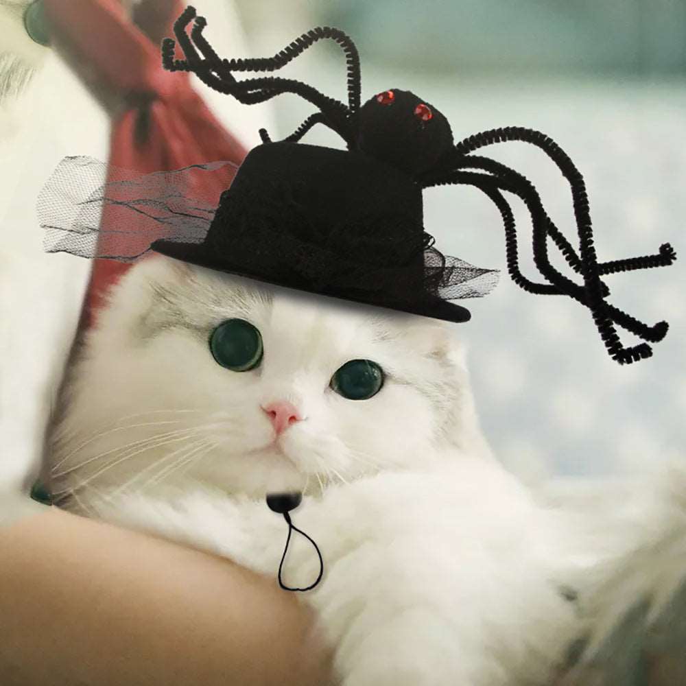 Curly Hair Pet Hat Cat Funny Dress Up Pet Products