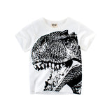 Summer Boys' Short Sleeve T-Shirt - Comfortable and stylish t-shirt for boys.