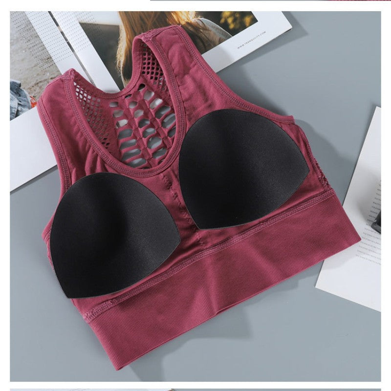 Women Sports Bra Sexy Brathable Mesh Sports Top from Eternal Gleams