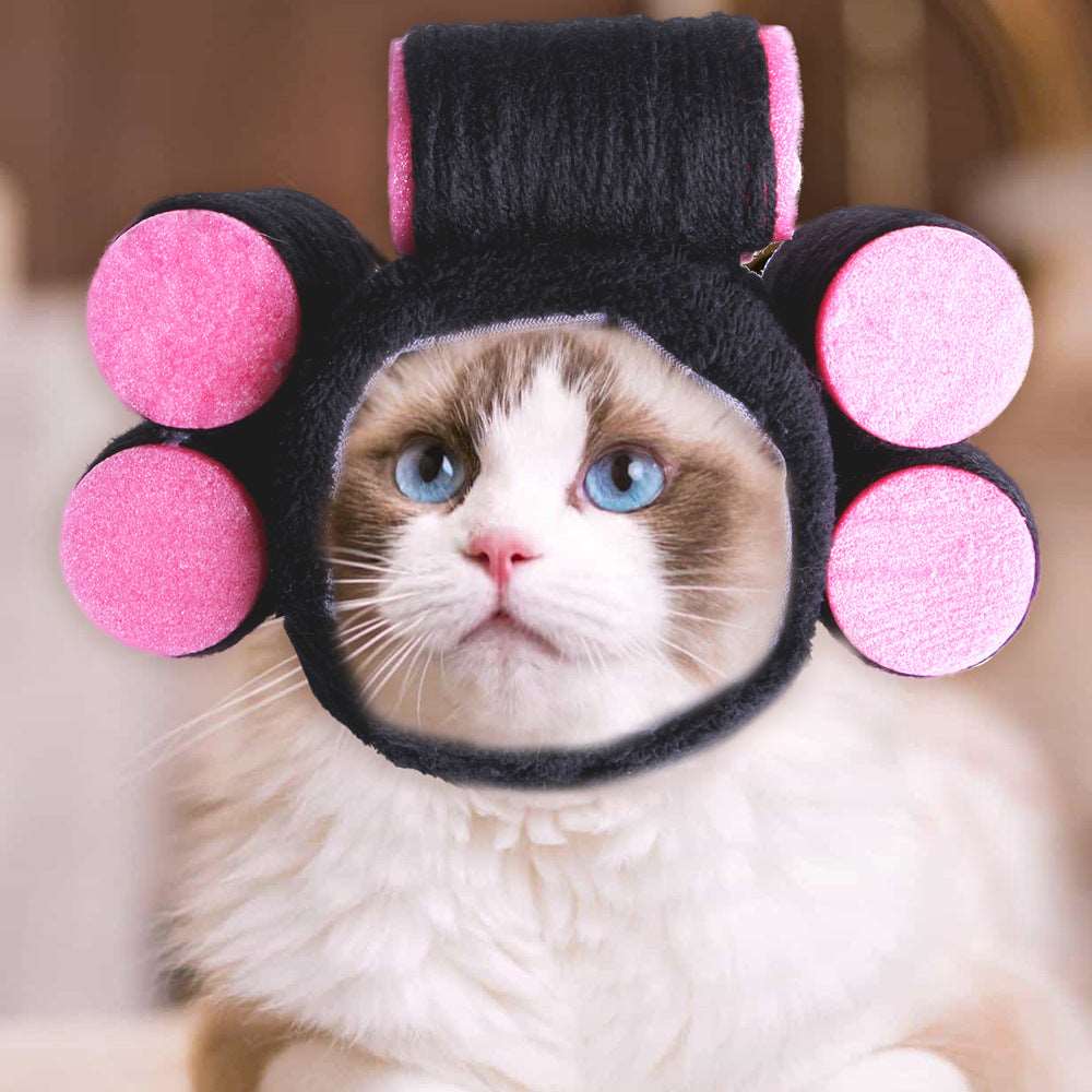 Curly Hair Pet Hat Cat Funny Dress Up Pet Products