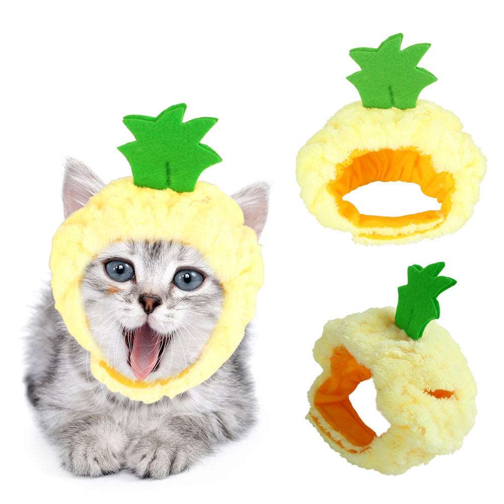 Curly Hair Pet Hat Cat Funny Dress Up Pet Products